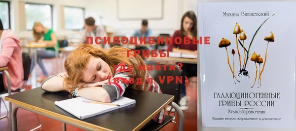 MDMA Premium VHQ Верхний Тагил