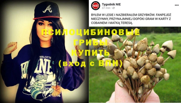 MDMA Premium VHQ Верхний Тагил