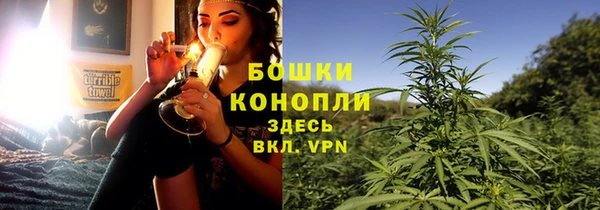 дурь Семилуки