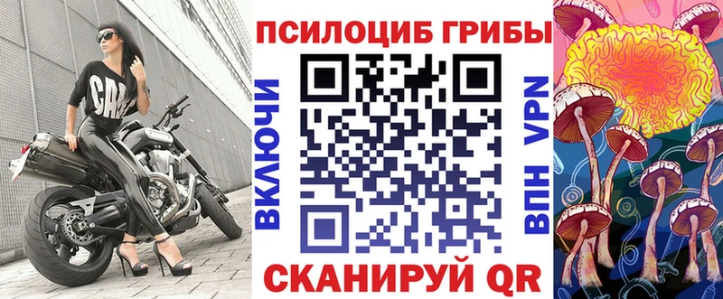 магазин продажи наркотиков Юхнов Галлюциногенные грибы мицелий